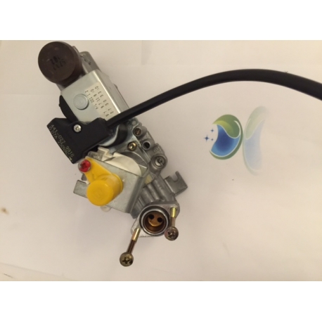 BLOC GAZ VAILLANT VUW/T4 réf:053499