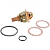 Clapet thermostat 60&deg;+ joint FRISQUET r&eacute;f : F3AA40021